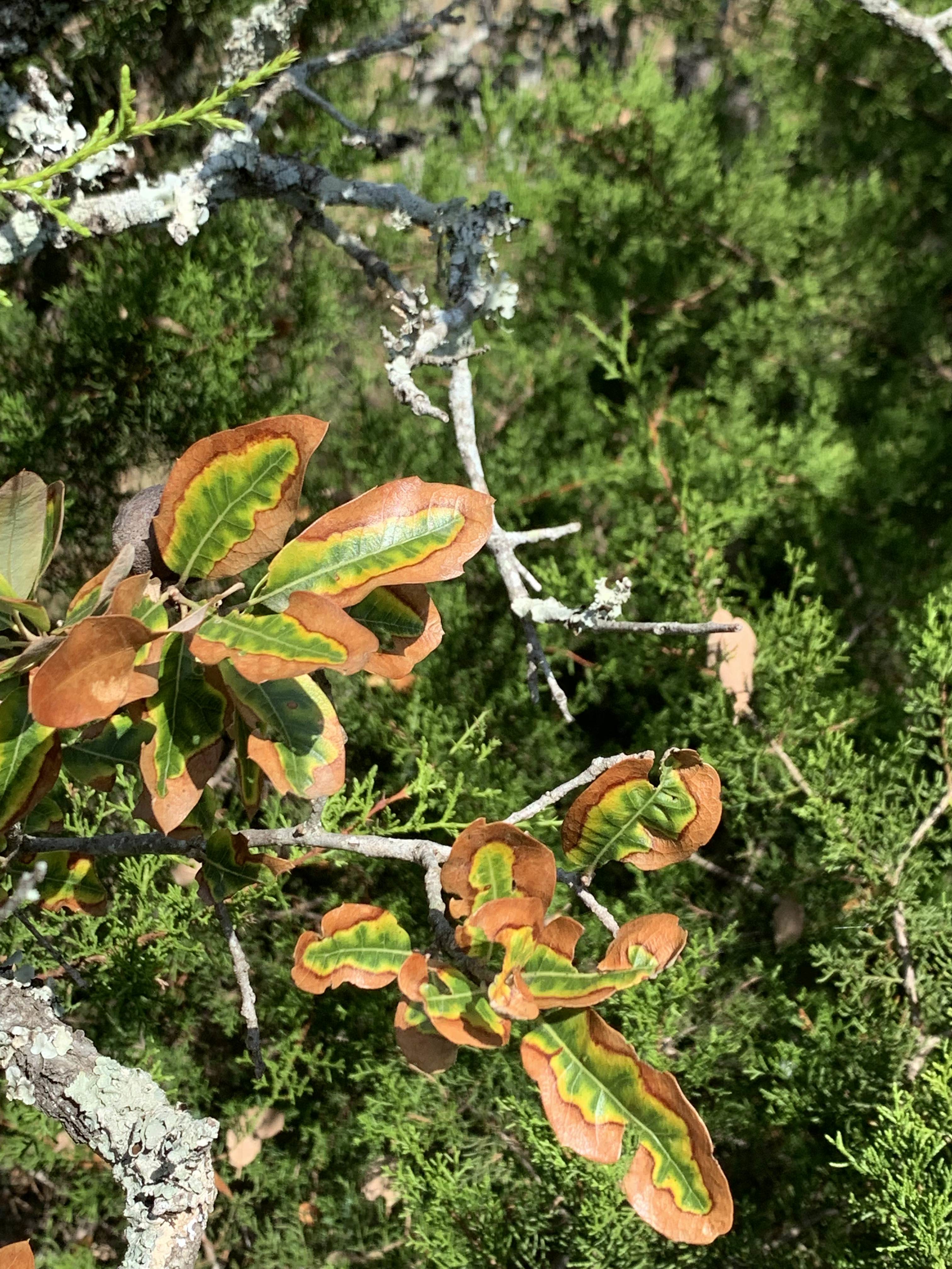 Af31cb8a 3588 4c72 A0ff 4cfe874d1142 1