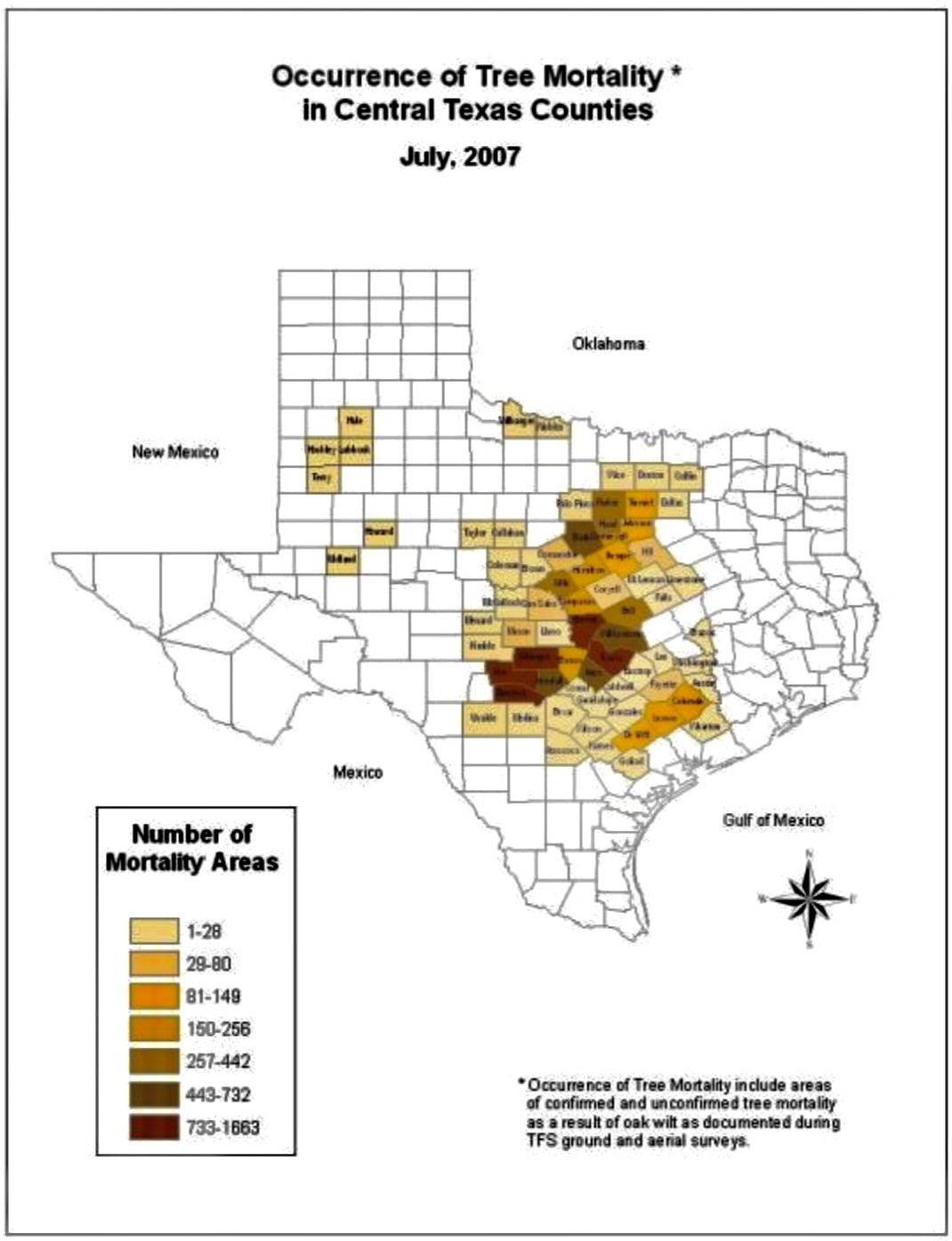 austin oak wilt management