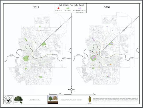 Fair Oaks Ranch Texas Oak Wilt Map