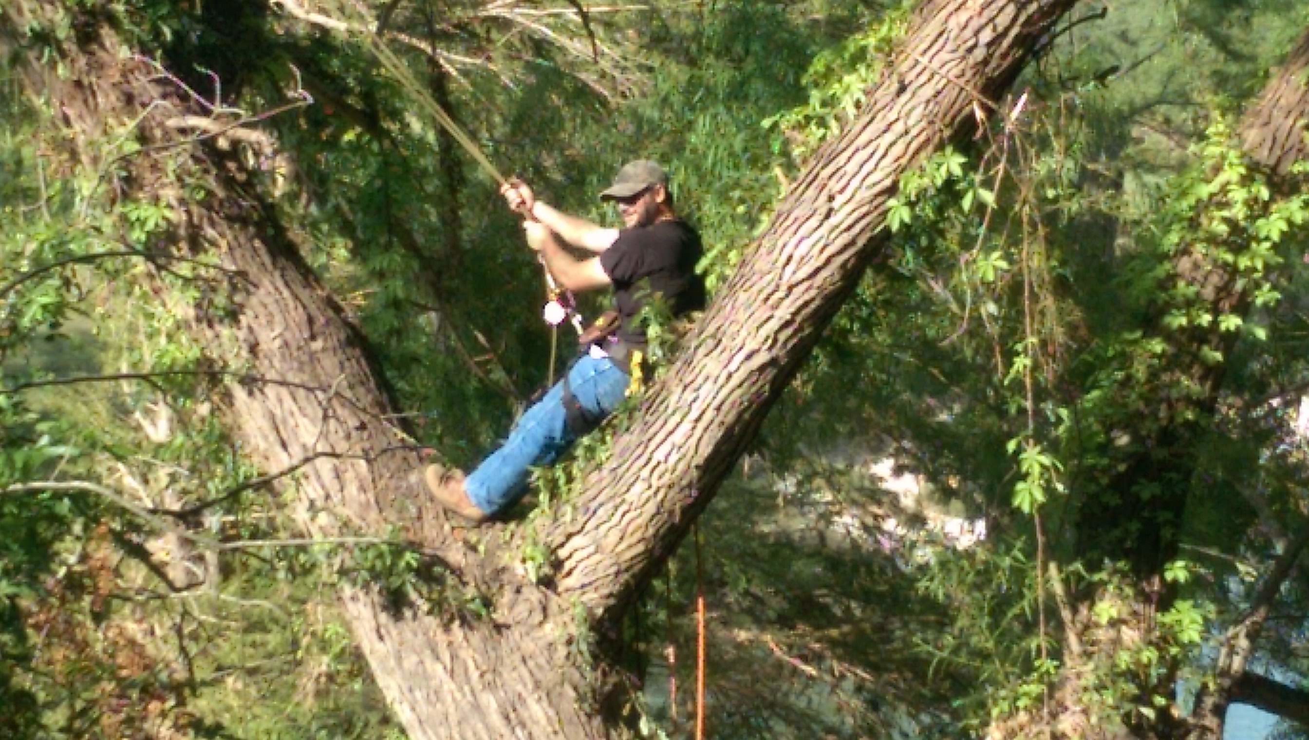 Kevin Belter in a tree