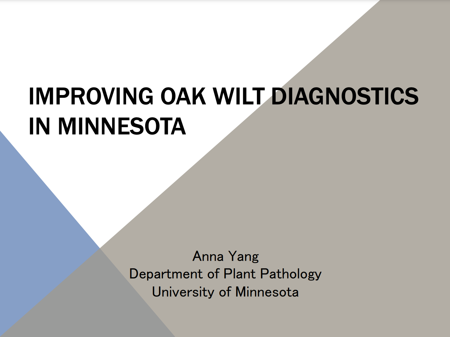 Improving Oak Wilt Diagnostics In Mn