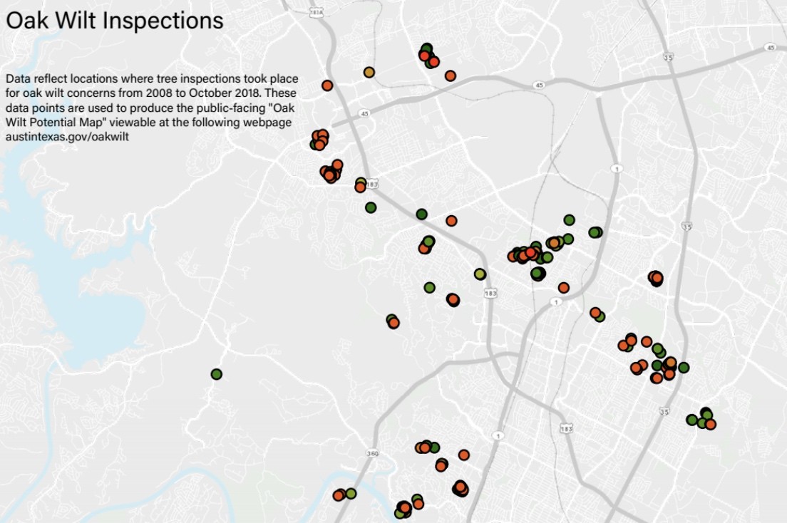 Oak Wilt Map Austin Tx