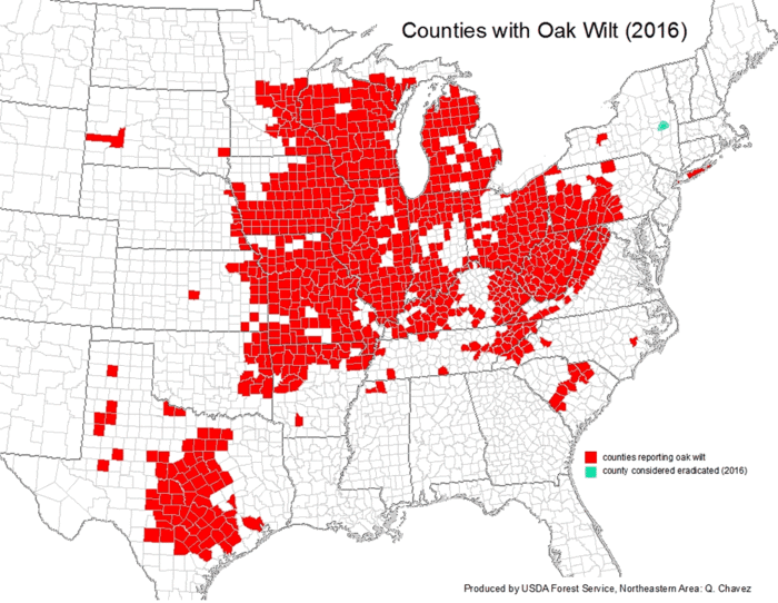 Oakwilt Distribution map from 2016