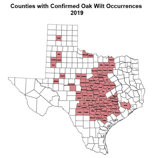 Oakwiltcountyoccurancesmap