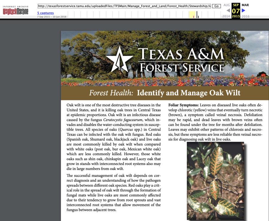 Texas A and M Forest Service