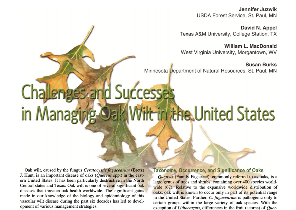 Challenges and Successes in Managing Oak Wilt