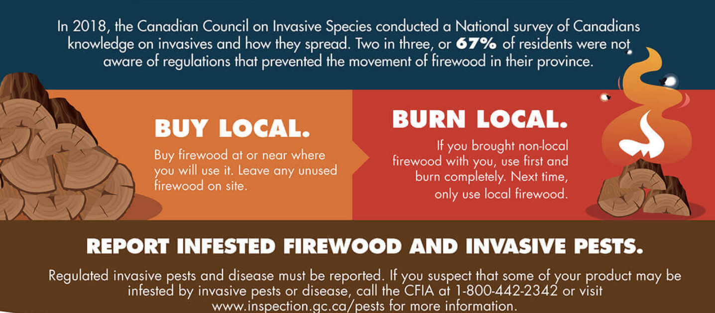 Infested Firewood and Invasive Pests