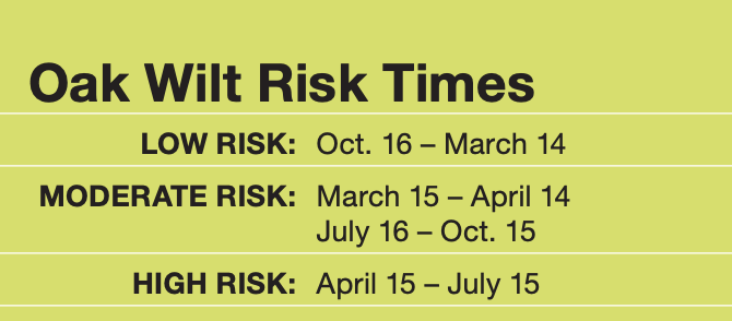 Oak Wilt Risk Times