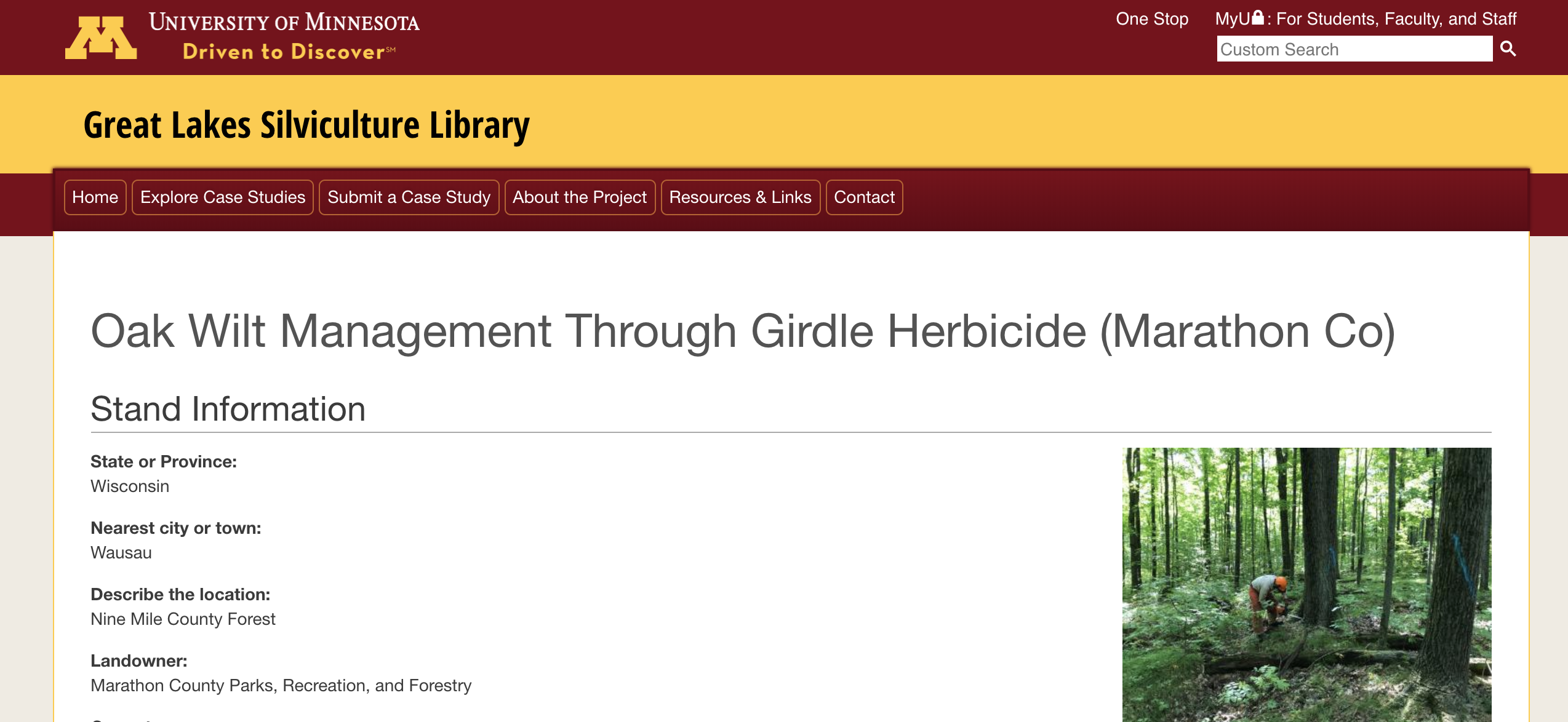 Oak Wilt Management Girdle Herbicide