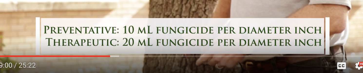 Preventative/Therapeutic Fungicide