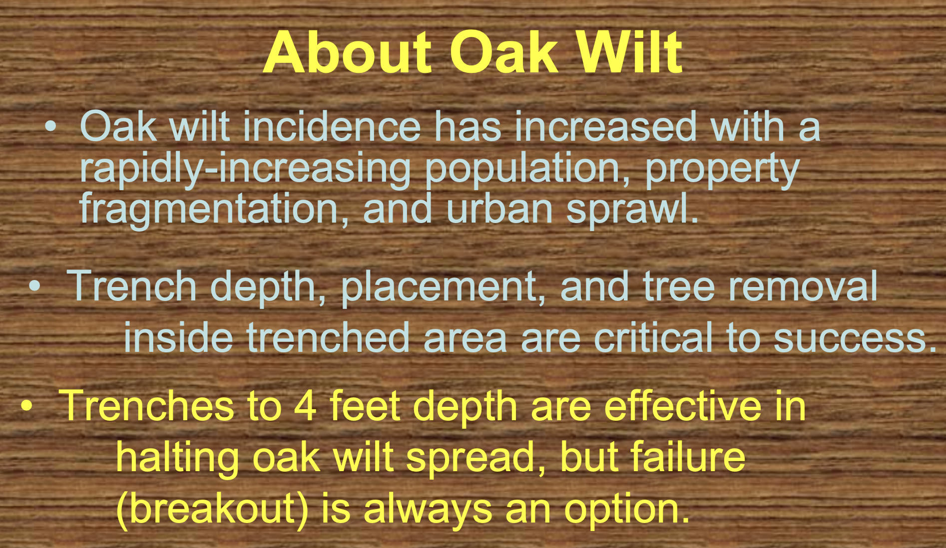 About Oak Wilt - Trenches