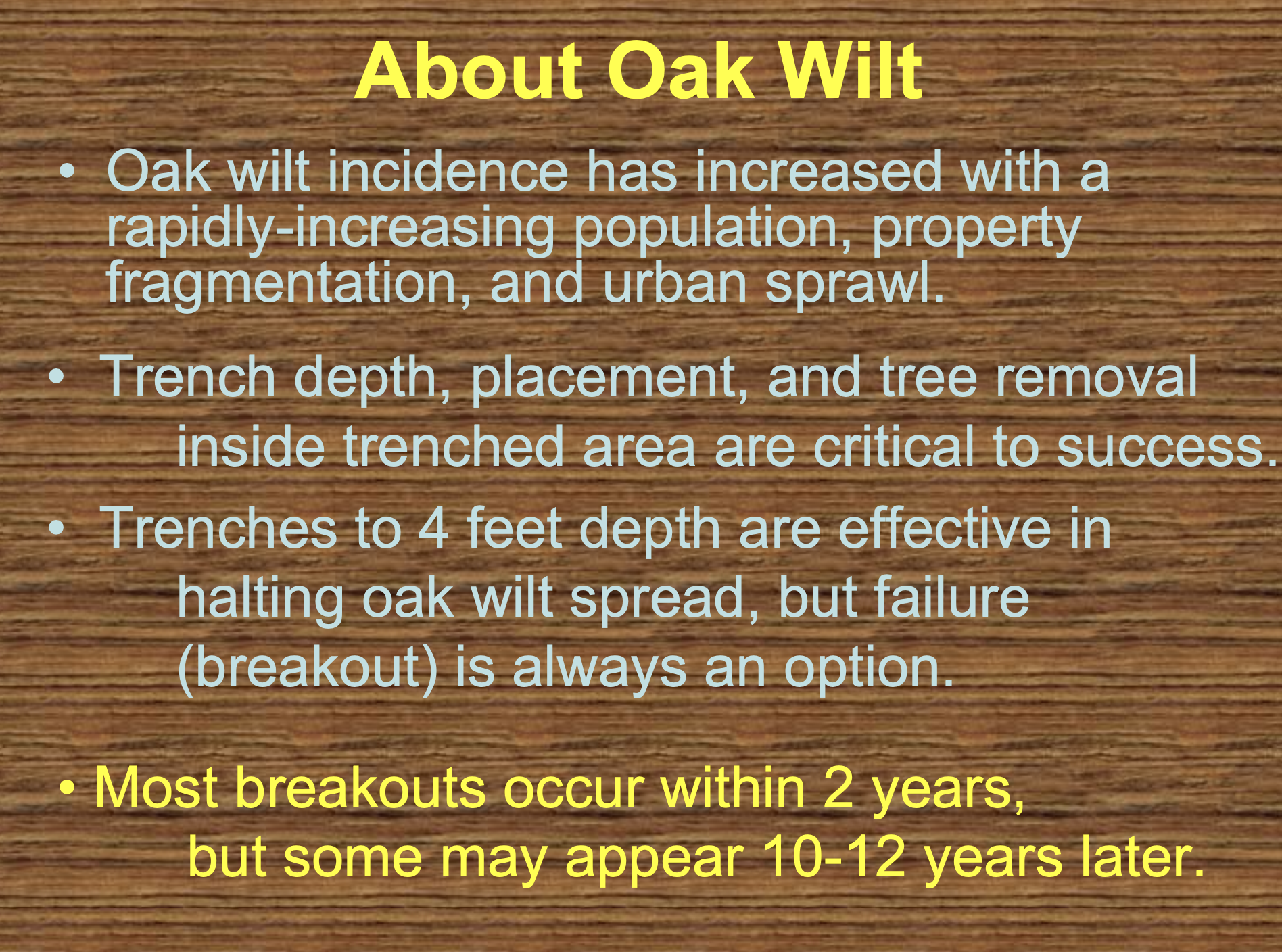 About Oak Wilt - Breakouts