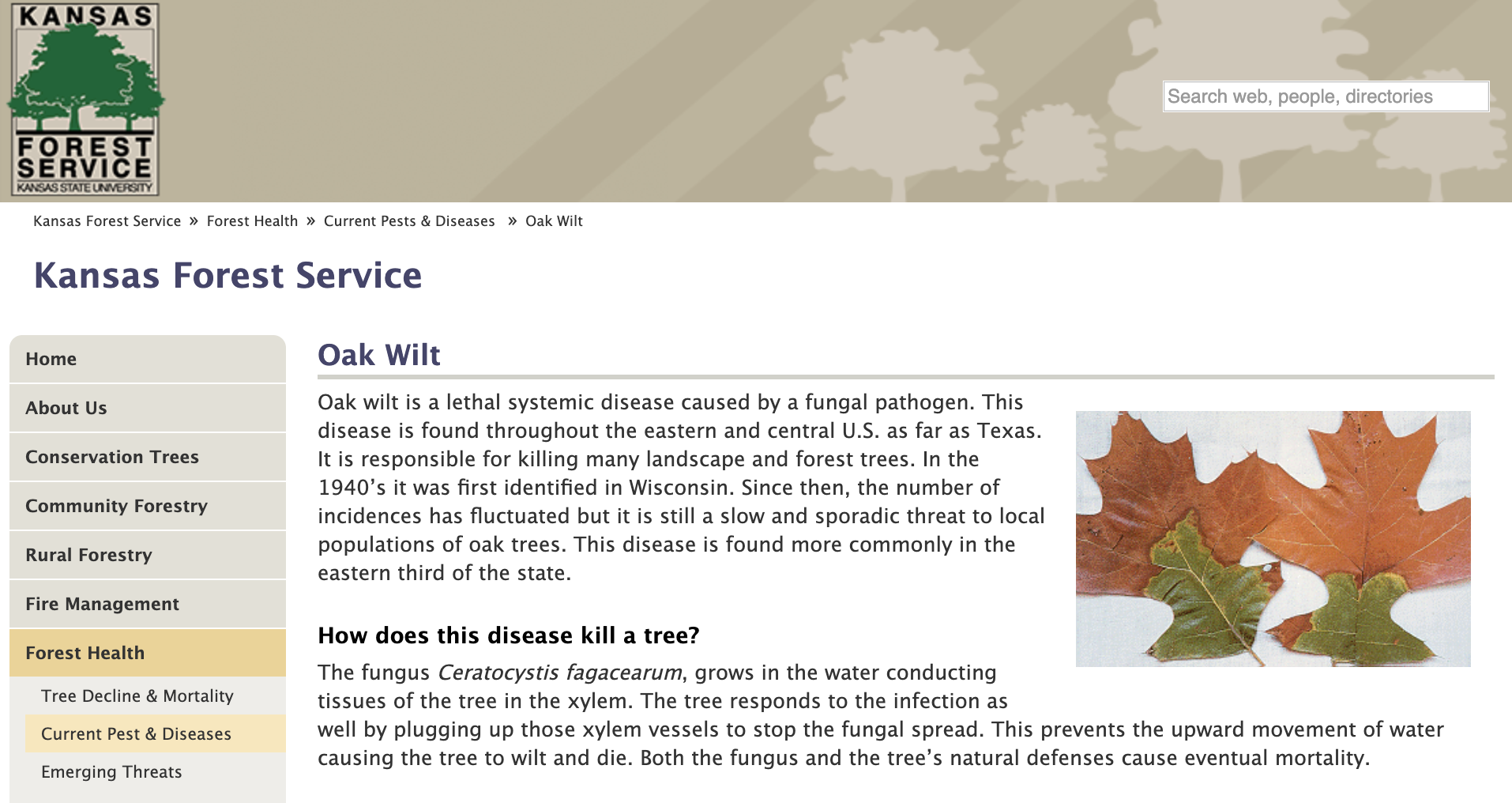 Kansas Forest Service Oak Wilt