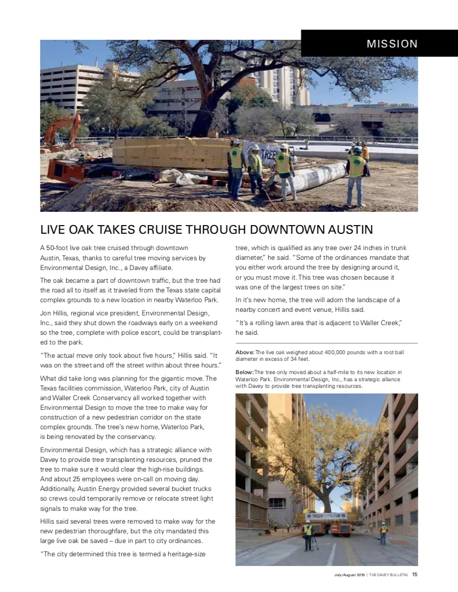 Live Oak Takes Cruise Through Downtown Austin Image