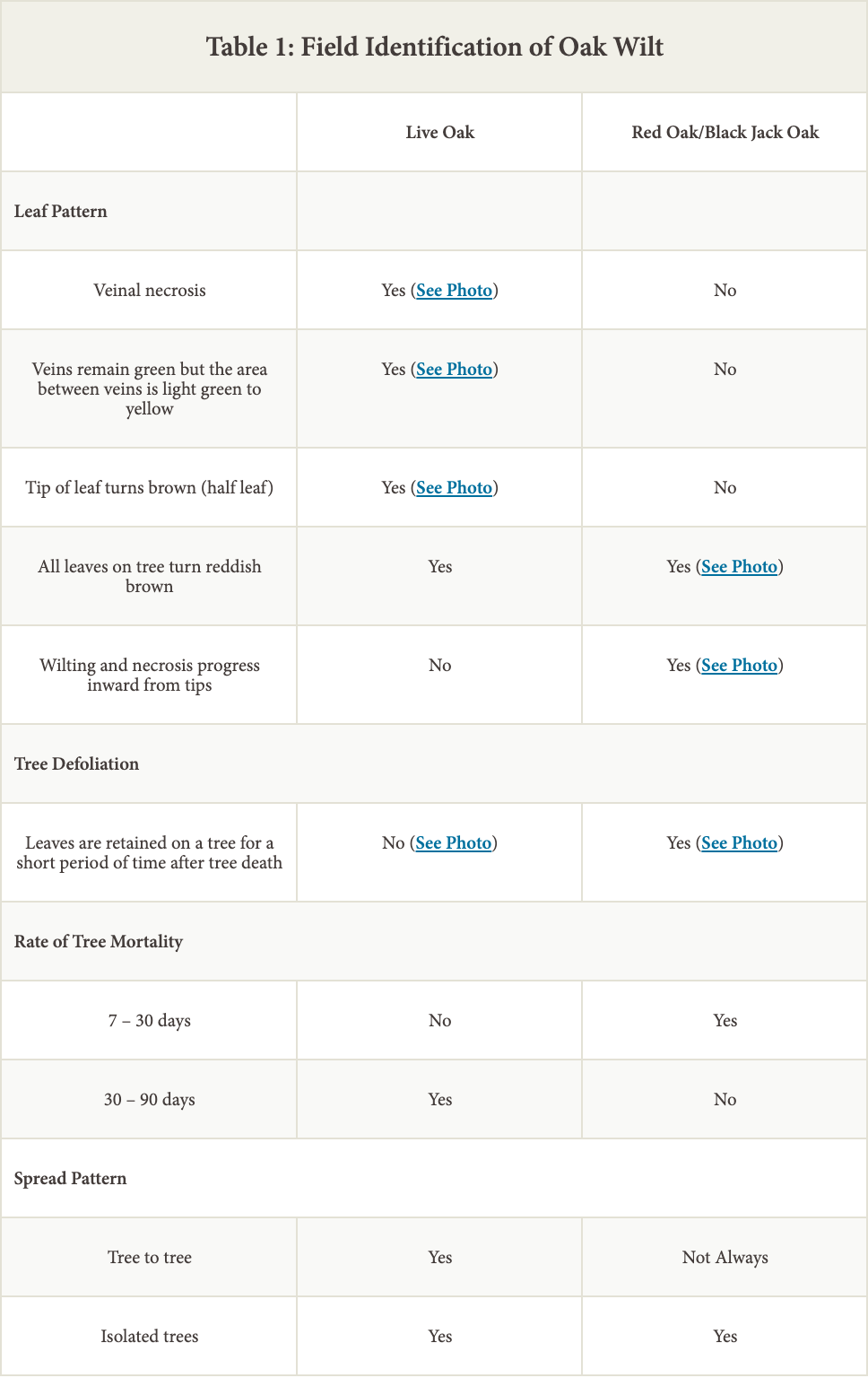 Field Identification of Oak Wilt