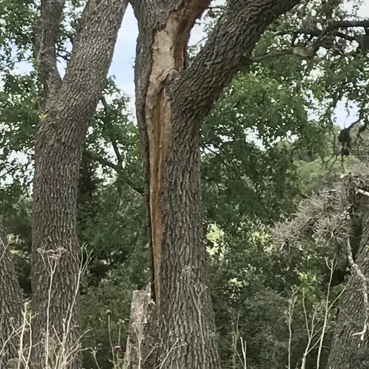 Lightning Damage 2