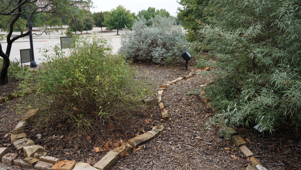 Xeriscape Garden