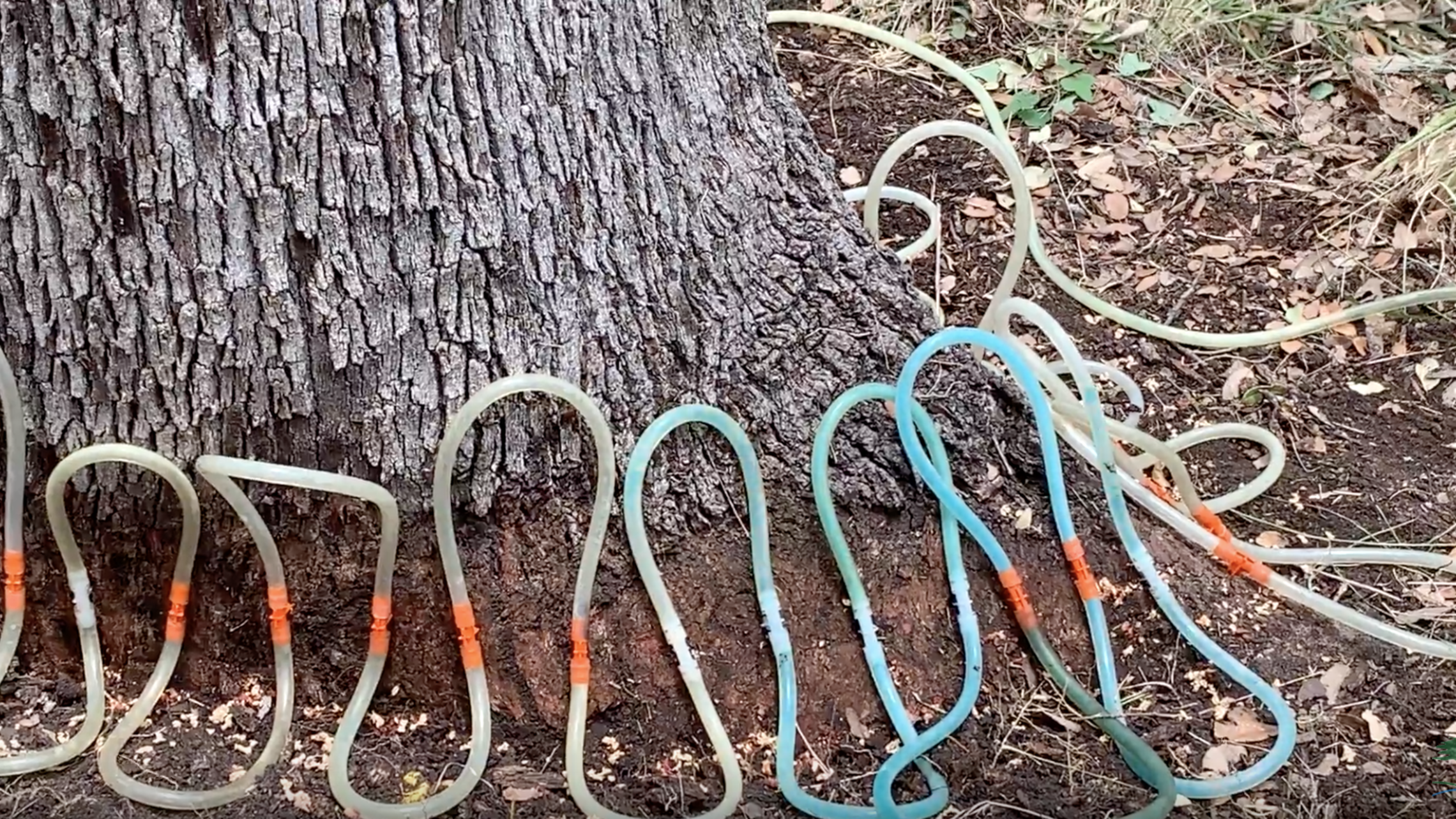 Screen Shot 2019 11 13 At 11.38.43 Am