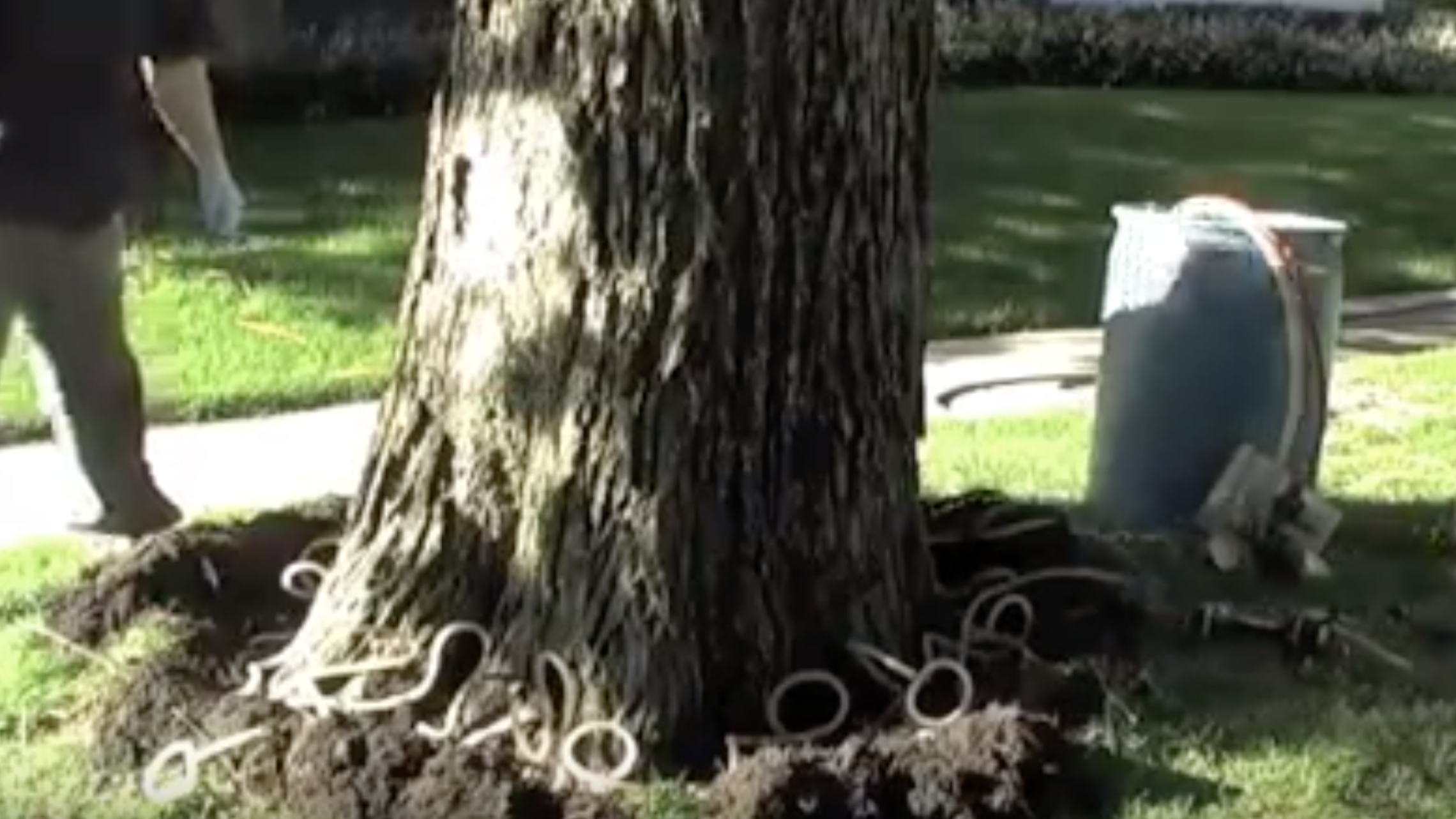 Screen Shot 2019 11 13 At 11.47.52 Am