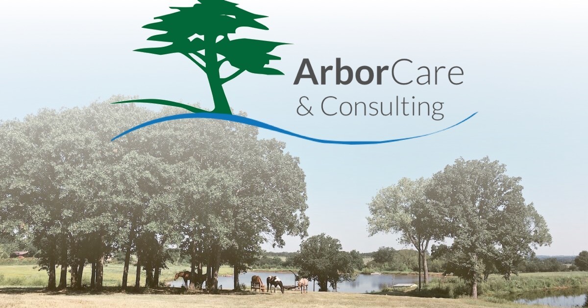 ArborCare And Consulting