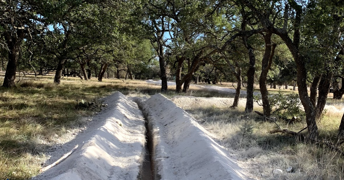 Cost of Treating Oak Wilt ArborCare & Consulting